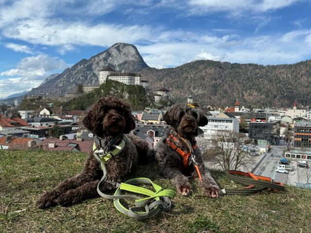 Hundewiese in Kufstein eröffnet